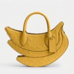 Coach Banana Bag in Signature Leather